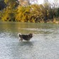 En el río :)